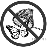 Впр биология 5 класс образец с ответами 2022